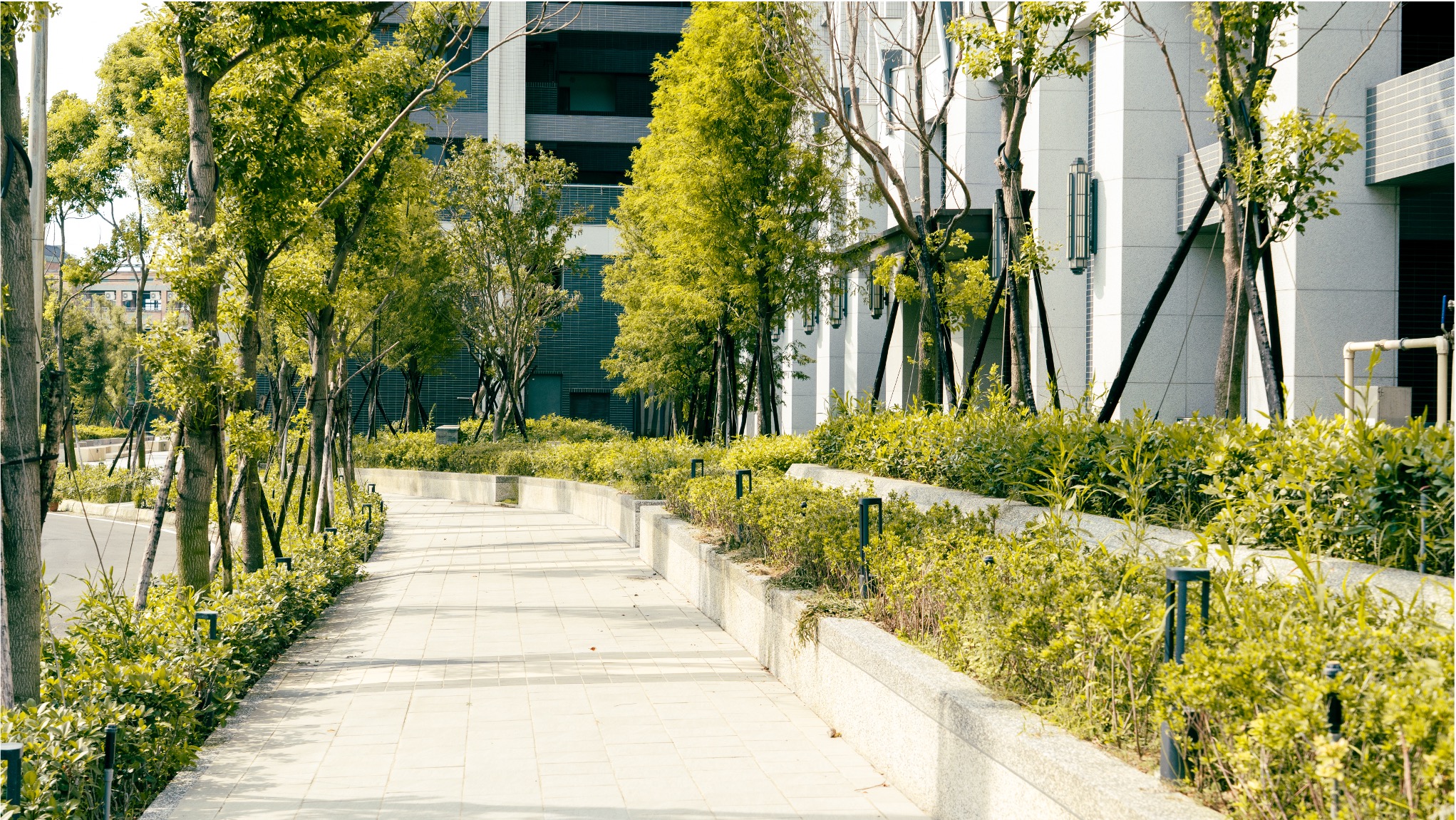 fe971f54f473a1585ad2c3742f42a4ef