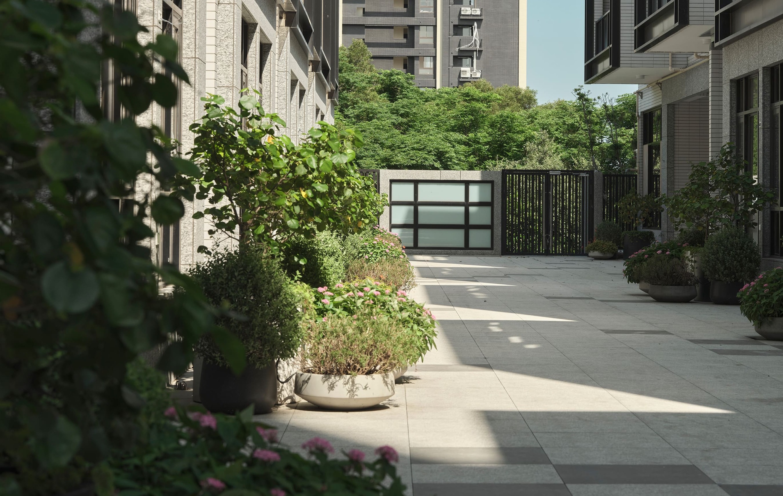 綠意相伴，溫情長存