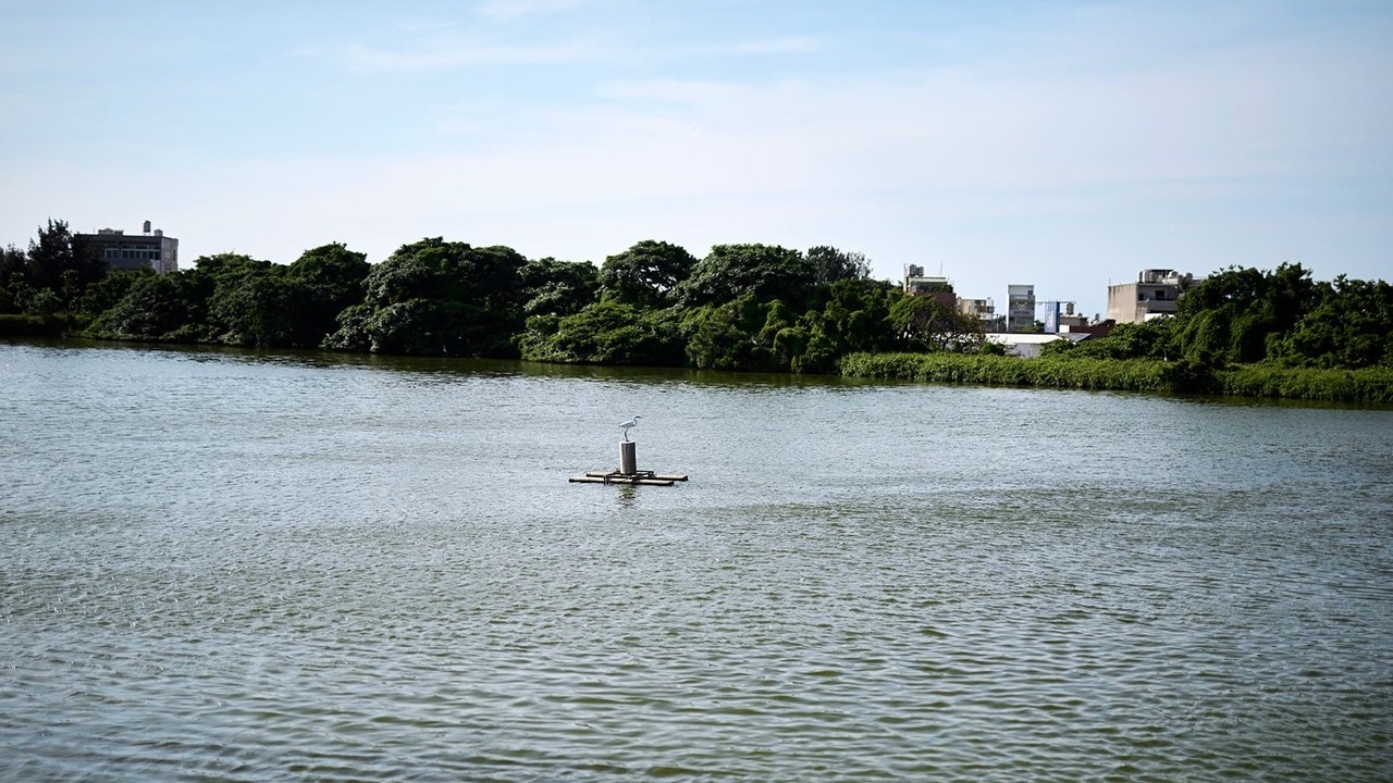 店子埤生態公園